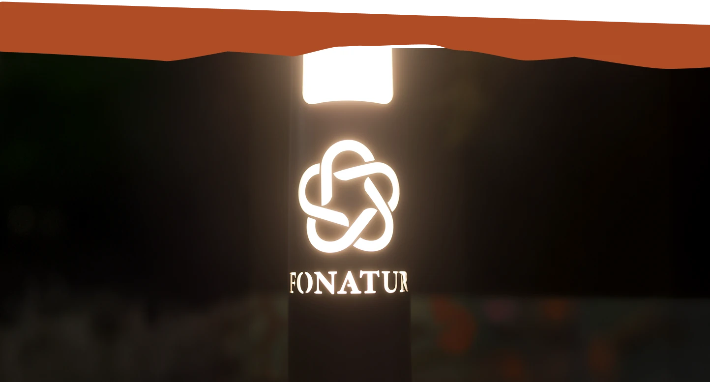 Luminaria